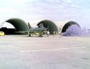 510th Fighter Squadron "Buzzards of Bien Hoa" 510th Fighter Squadron "Buzzards of Bien Hoa"