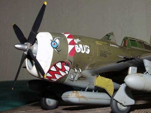 p 47 bug 02 575