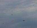 Birds of a feather: F-16s train over Aviano skies Birds of a feather: F-16s train over Aviano skies