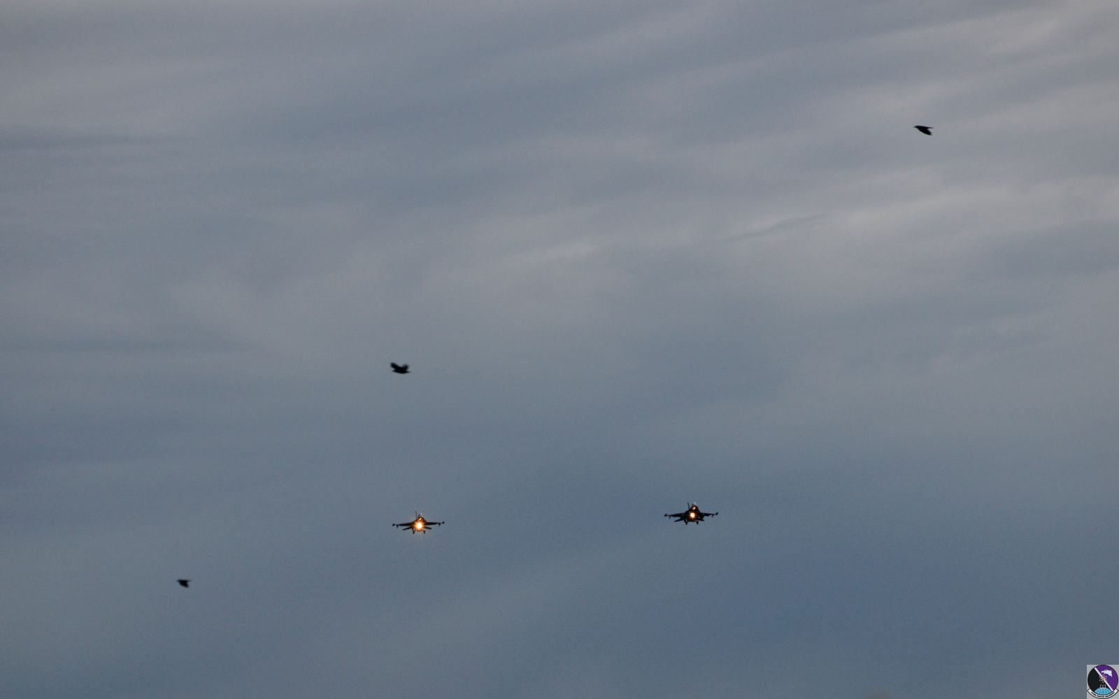 Birds of a feather: F-16s train over Aviano skies Birds of a feather: F-16s train over Aviano skies