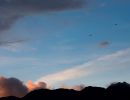 Birds of a feather: F-16s train over Aviano skies Birds of a feather: F-16s train over Aviano skies