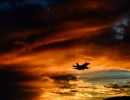 Birds of a feather: F-16s train over Aviano skies Birds of a feather: F-16s train over Aviano skies